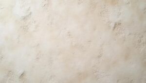 découvrez la décoration murale texturée qui met en valeur l'enduit à la chaux traditionnel pour un intérieur authentique et naturel.