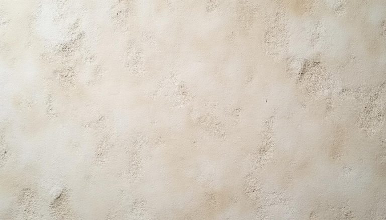 découvrez la décoration murale texturée qui met en valeur l'enduit à la chaux traditionnel pour un intérieur authentique et naturel.