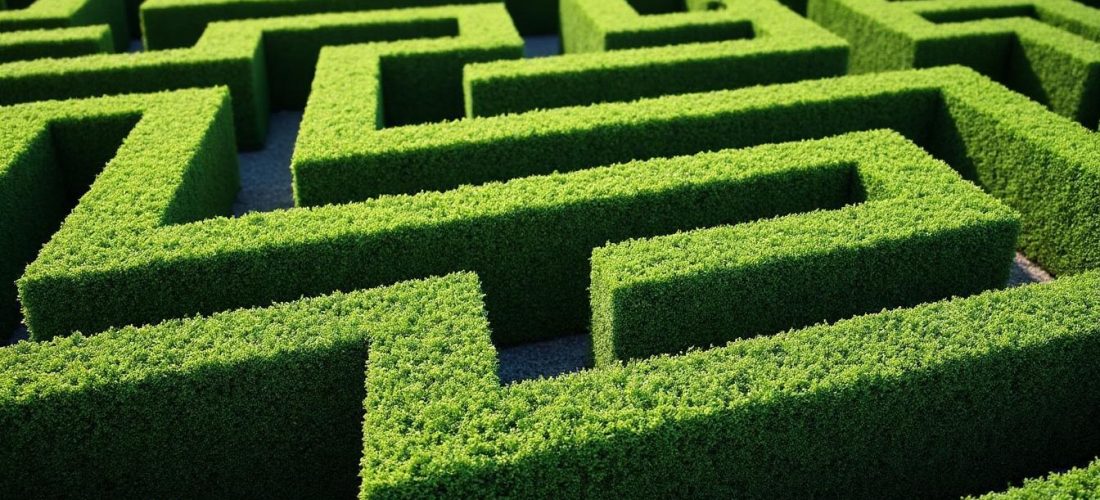 découvrez comment une décoration extérieure ordonnée peut être sublimée grâce à des haies taillées au cordeau, apportant élégance et structure à votre jardin.