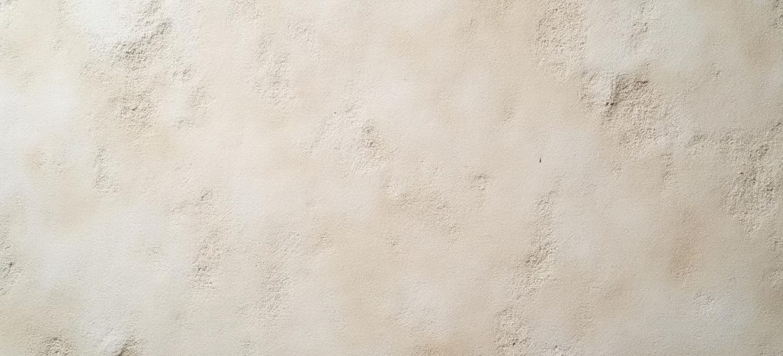 découvrez la décoration murale texturée qui met en valeur l'enduit à la chaux traditionnel pour un intérieur authentique et naturel.
